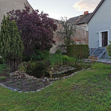 Fewo Rohleder De Mit 130M2 Und Garten Fuer 6Pers Mit 2 Bad Cottbus Buitenkant foto