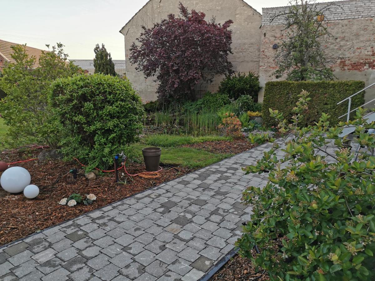 Fewo Rohleder De Mit 130M2 Und Garten Fuer 6Pers Mit 2 Bad Cottbus Buitenkant foto