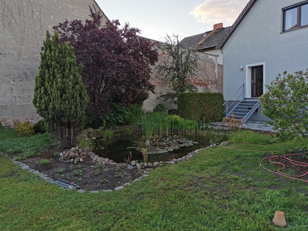 Fewo Rohleder De Mit 130M2 Und Garten Fuer 6Pers Mit 2 Bad Cottbus Buitenkant foto