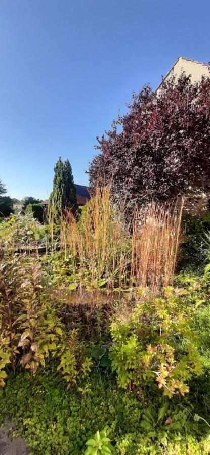 Fewo Rohleder De Mit 130M2 Und Garten Fuer 6Pers Mit 2 Bad Cottbus Buitenkant foto